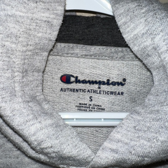 CHAMPION Kid's Hoodie Gray- Size: Small - Picture 3 of 4